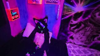 Alleycat kneads off with fresh plaything