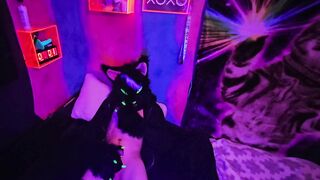 Alleycat kneads off with fresh plaything