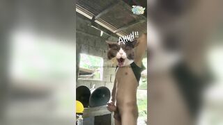 JAKOL SA ABANDONADONG BAHAY.. SARAP MAG JAKOL