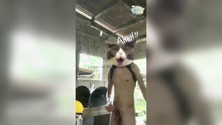 JAKOL SA ABANDONADONG BAHAY.. SARAP MAG JAKOL