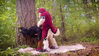 The Dog Days of Summer