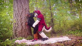 The Dog Days of Summer