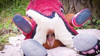 The Dog Days of Summer