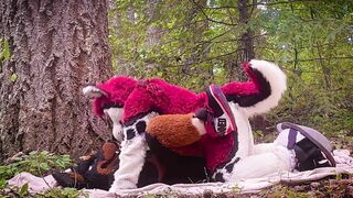 The Dog Days of Summer