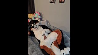 @AngryBarks from the Pioneer's office instructs your how to milk your puppy bf ‍
