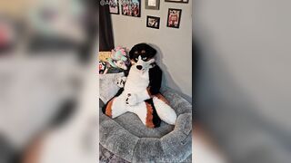@AngryBarks from the Pioneer's office instructs your how to milk your puppy bf ‍