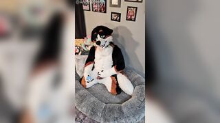 @AngryBarks from the Pioneer's office instructs your how to milk your puppy bf ‍