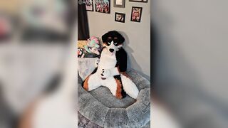 @AngryBarks from the Pioneer's office instructs your how to milk your puppy bf ‍