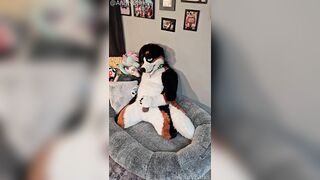 @AngryBarks from the Pioneer's office instructs your how to milk your puppy bf ‍