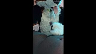 Furry Puppy Voz makes a dirt out of SJ