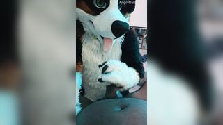 Furry Puppy Voz makes a dirt out of SJ