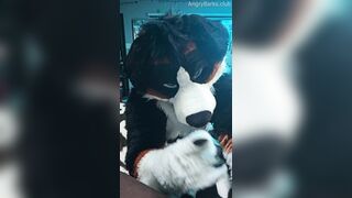 Furry Puppy Voz makes a dirt out of SJ