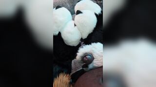 Furry Puppy Voz makes a dirt out of SJ