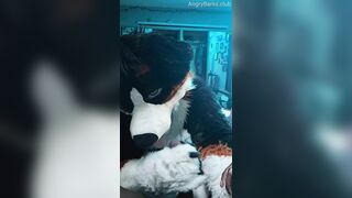 Furry Puppy Voz makes a dirt out of SJ