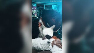 Furry Puppy Voz makes a dirt out of SJ