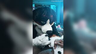 Furry Puppy Voz makes a dirt out of SJ