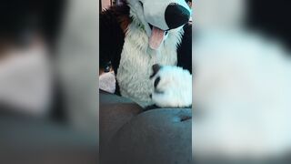 Furry Puppy Voz makes a dirt out of SJ
