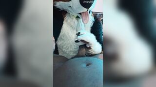 Furry Puppy Voz makes a dirt out of SJ