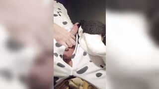 Border Collie Plushie Licks And Makes Onesie Pubby Jizz!