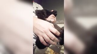 Border Collie Plushie Licks And Makes Onesie Pubby Jizz!