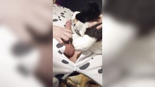 Border Collie Plushie Licks And Makes Onesie Pubby Jizz!