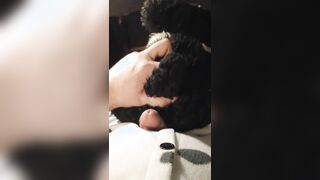 Border Collie Plushie Licks And Makes Onesie Pubby Jizz!