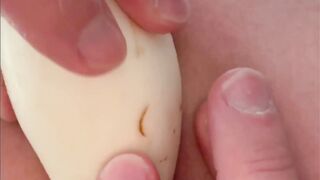 Spreading Caboose with White Zucchini and then getting it OUT