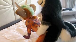 Eclipse Breeds Stephie