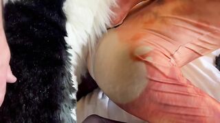 Eclipse Breeds Stephie